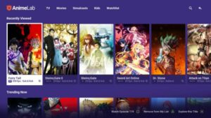 Anime Streaming Sites