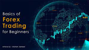 Forex Trading For Beginners