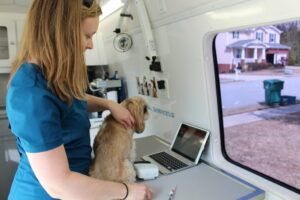 How Do Mobile Vet Clinics Work