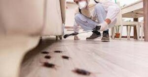 Regular Pest Control Maintains Your Property Value