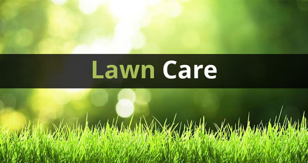 Lawn Care Services