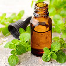 Use Oregano oil in cooking for good digestion