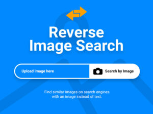 Reverse Image Search