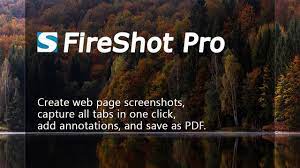 FireShot