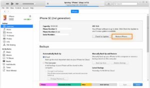Click Restore iPhone and follow the on-screen instructions